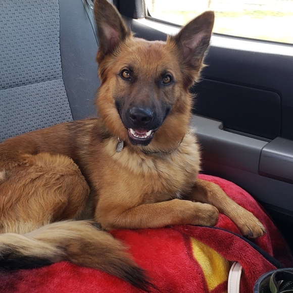 Meet your Posher, Kristine - Picture 4 of 8